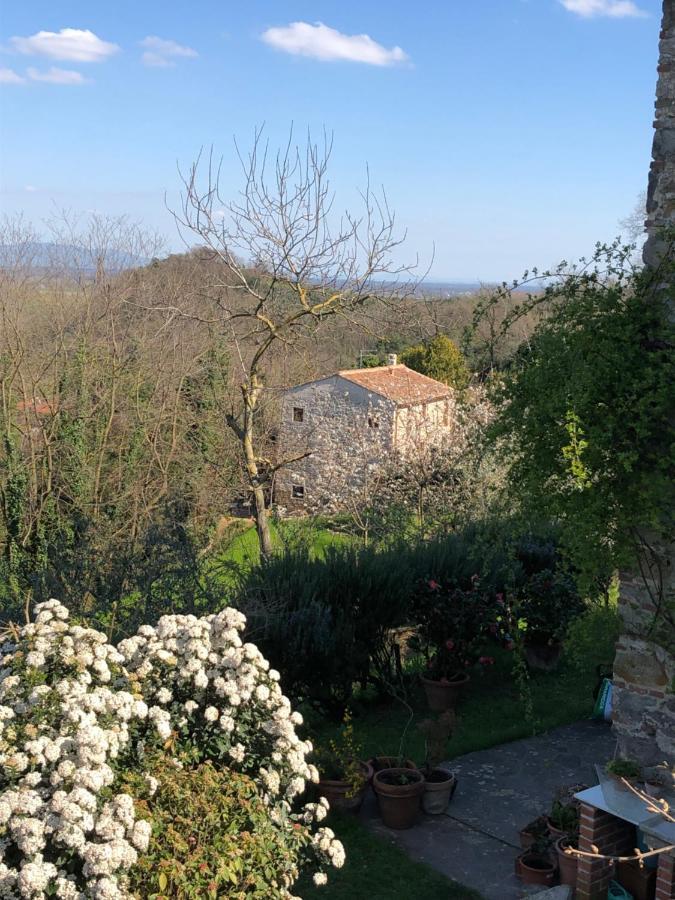 Dolce Vita In Tuscany Cottage Capannori Exteriér fotografie