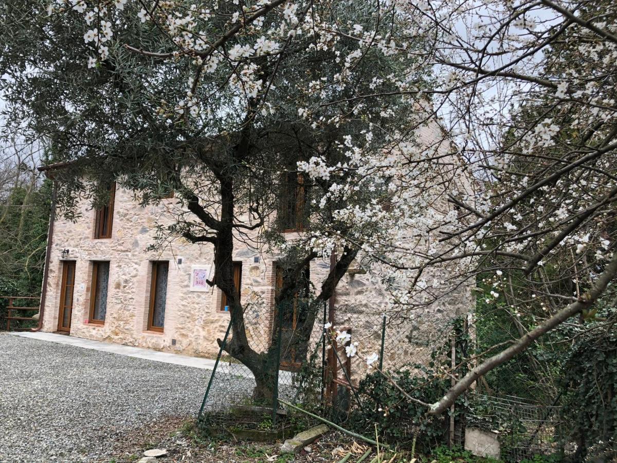 Dolce Vita In Tuscany Cottage Capannori Exteriér fotografie