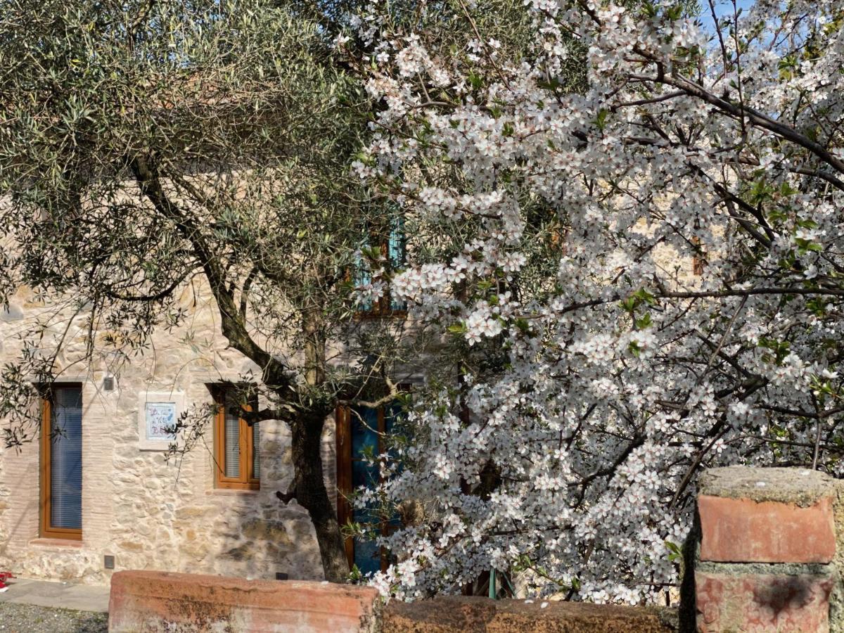 Dolce Vita In Tuscany Cottage Capannori Exteriér fotografie