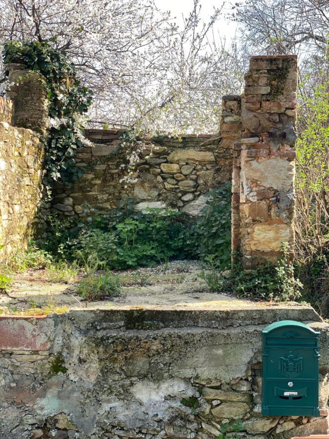 Dolce Vita In Tuscany Cottage Capannori Exteriér fotografie