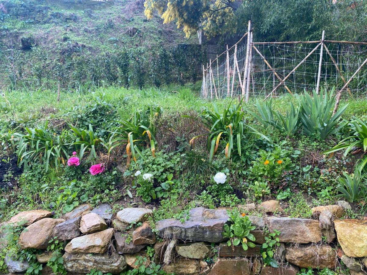 Dolce Vita In Tuscany Cottage Capannori Exteriér fotografie