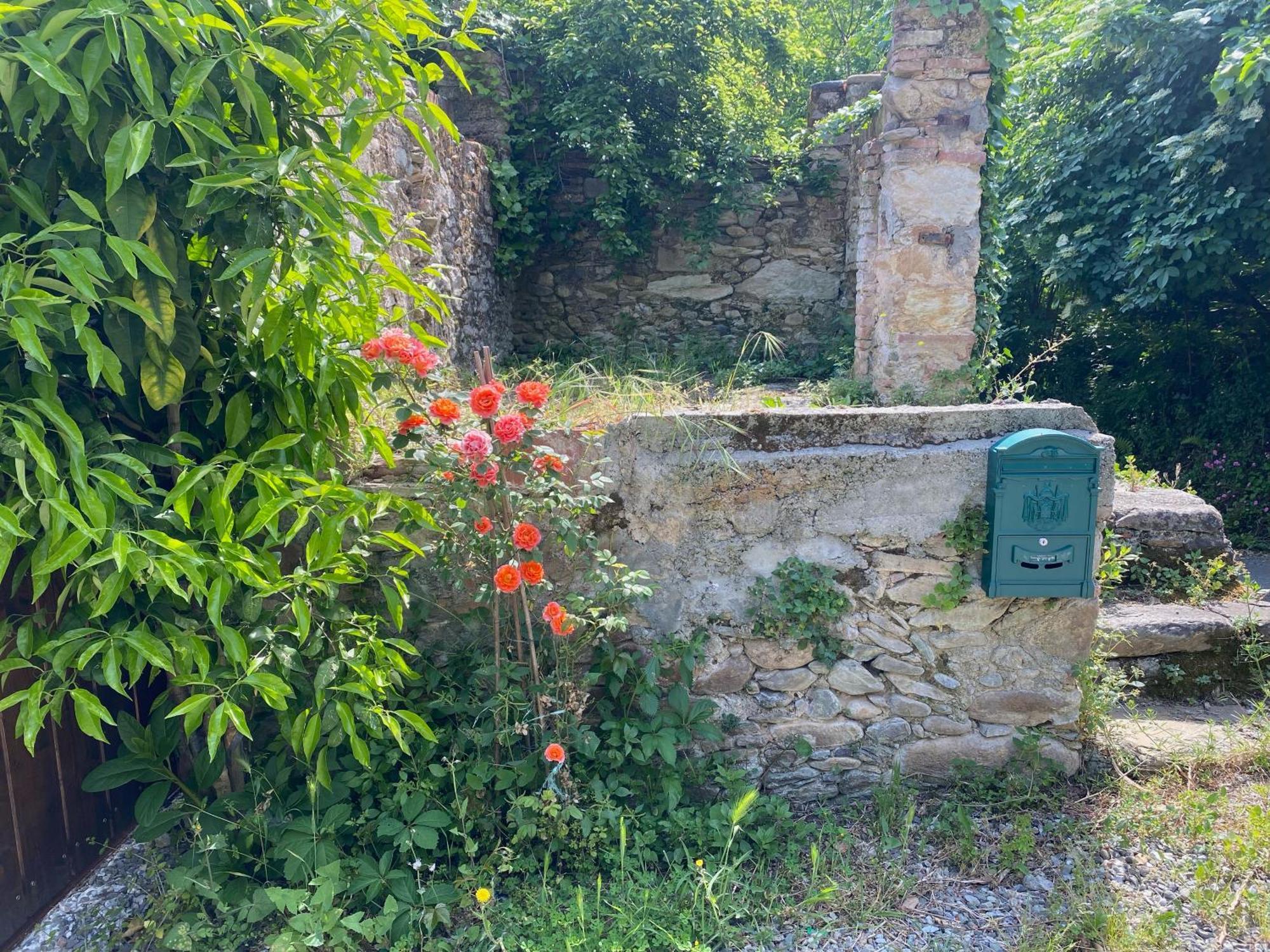 Dolce Vita In Tuscany Cottage Capannori Exteriér fotografie