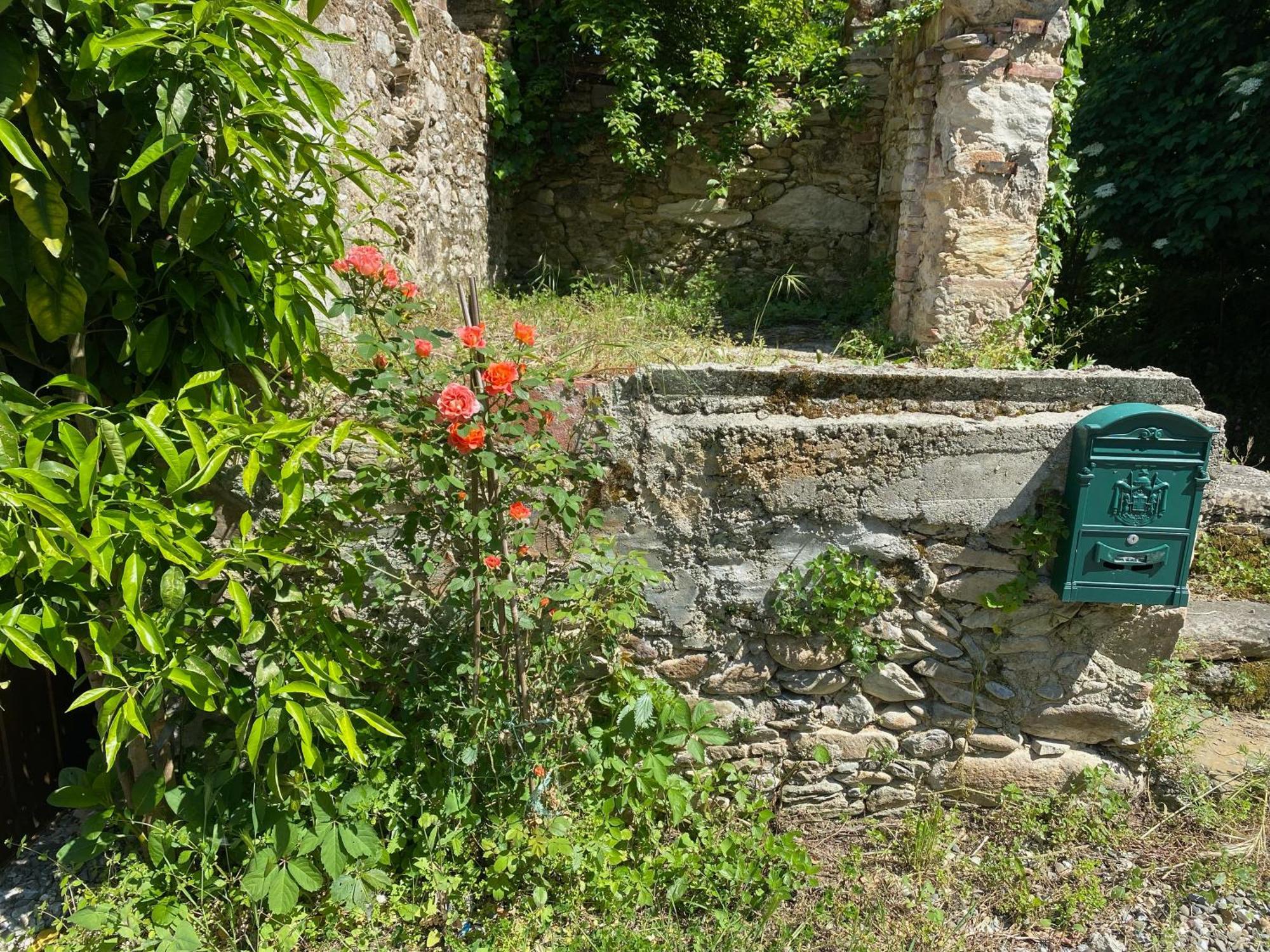 Dolce Vita In Tuscany Cottage Capannori Exteriér fotografie